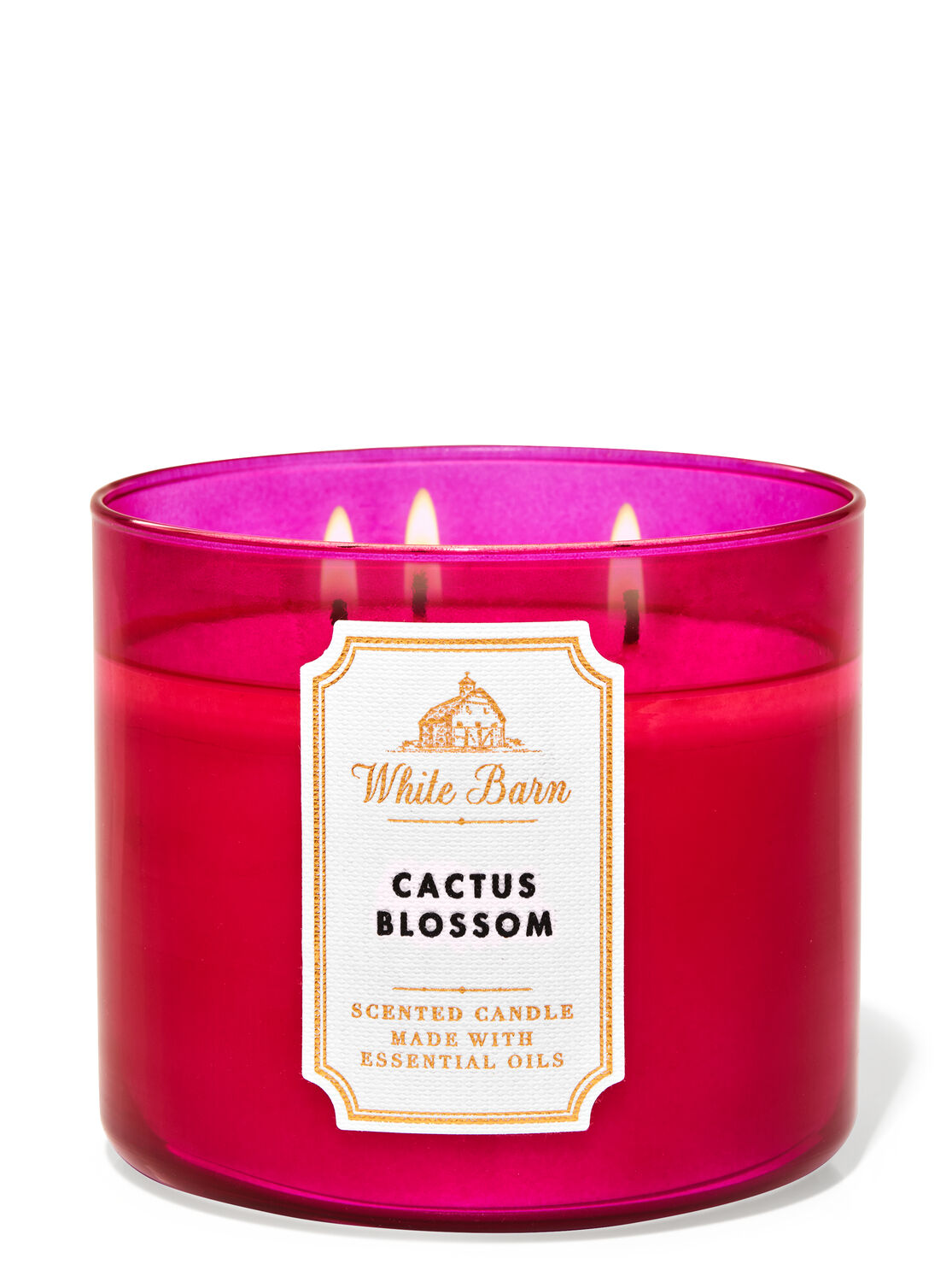 Cactus Blossom 3 Wick Candle Bath Body Works