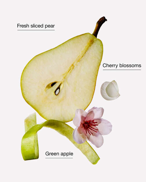 Green Pear & Apple Gentle & Clean Foaming Hand Soap