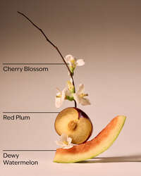 Cherry Blossom Body Wash