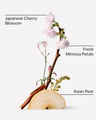 Japanese Cherry Blossom Eau De Parfum