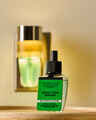 Spiced Citrus Garland Wallflowers Fragrance Refill