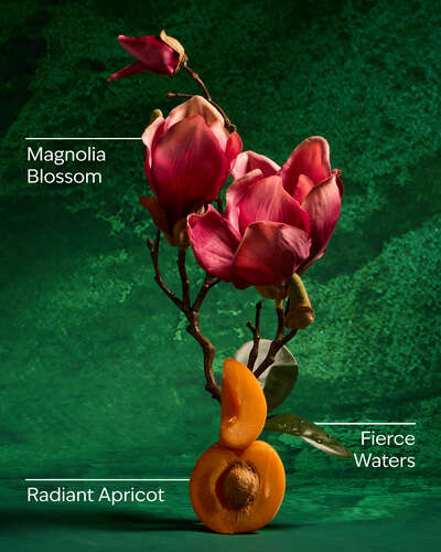 Mulan Wallflowers Fragrance Refill