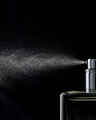 Graphite Cologne