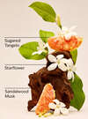 In the Stars Wallflowers Fragrance Refill