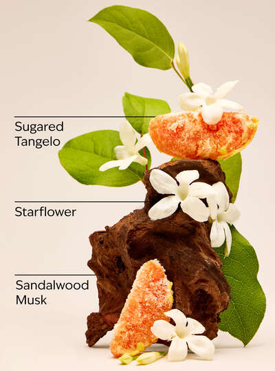 In the Stars Wallflowers Fragrance Refill