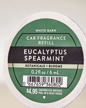 Eucalyptus Spearmint Car Fragrance Refill