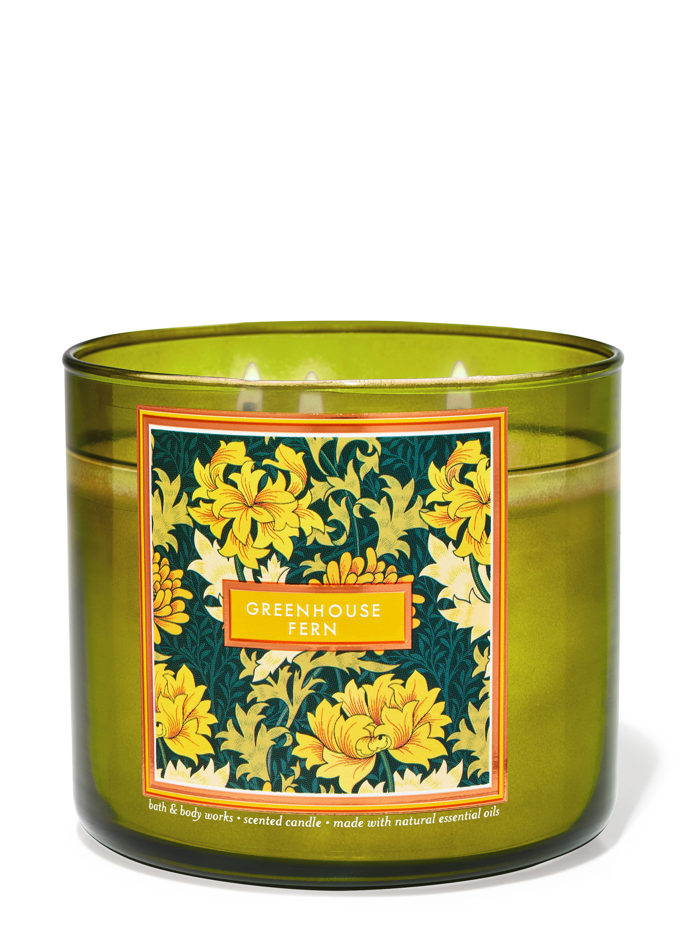 Greenhouse Fern 3-Wick Candle