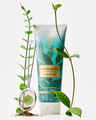 Eucalyptus Tea Ultimate Hydration Body Cream