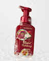 Frosted Cranberry Gentle & Clean Foaming Hand Soap