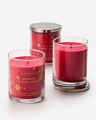Winter Candy Apple Single Wick Candle