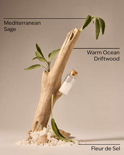 Sea Salt & Driftwood Concentrated Room Spray