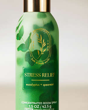 Eucalyptus Spearmint Concentrated Room Spray