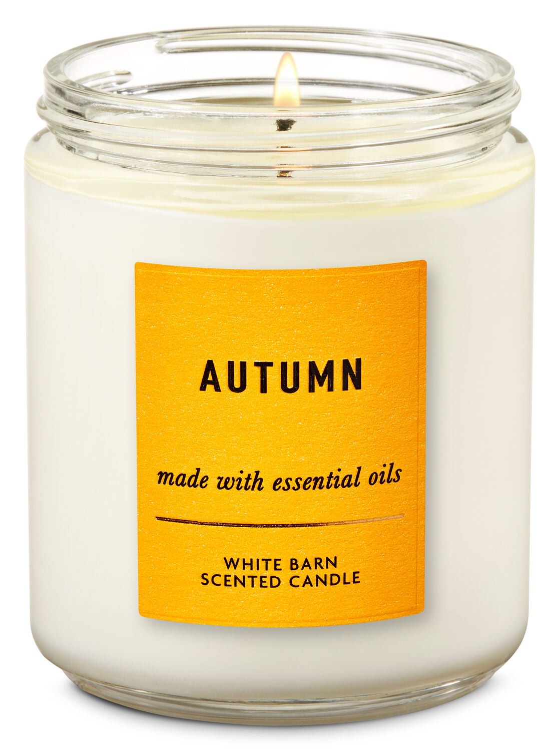 Autumn Single Wick Candle - Bath And Body Works