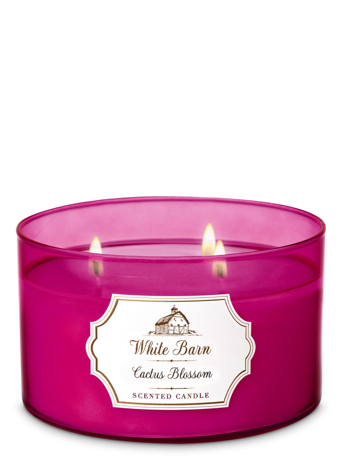 Cactus Blossom 3-Wick Candle - Bath And Body Works
