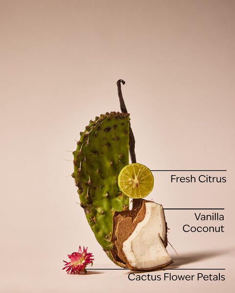Cactus Blossom Laundry Detergent