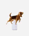 Sporting Dog Wallflowers Fragrance Plug