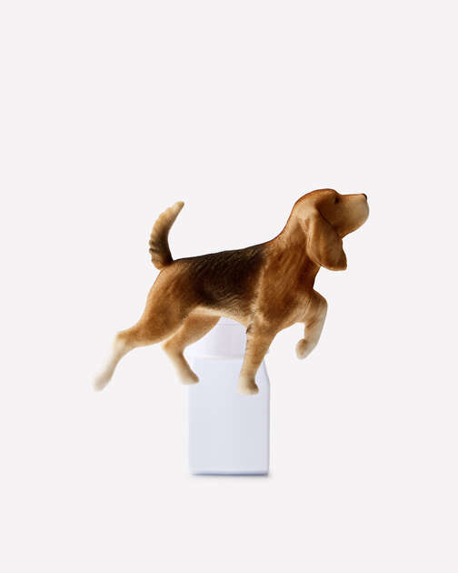 Sporting Dog Wallflowers Fragrance Plug