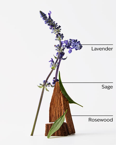 Lavender + Jasmine Single Wick Candle