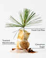 The Perfect Christmas Signature Single Wick Candle