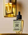 Japanese Cherry Blossom Wallflowers Fragrance Refill