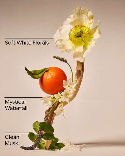 Enchanted Waterfalls Wallflowers Refills 2-Pack