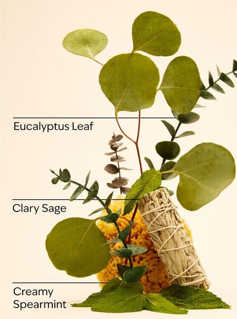 Eucalyptus Spearmint Wallflowers Fragrance Refill