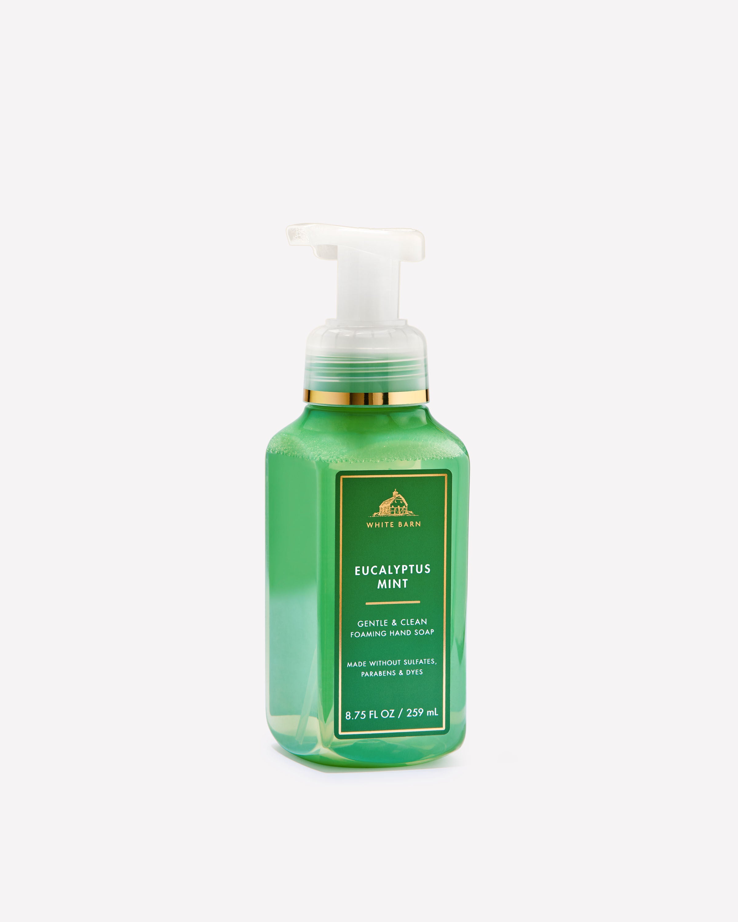 Eucalyptus Mint Foaming Hand Soap | Bath & Body Works