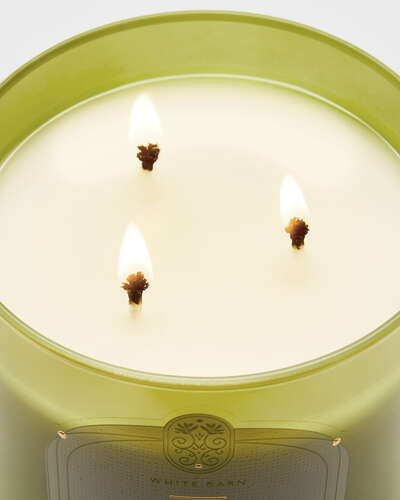 Island Margarita 3-Wick Candle