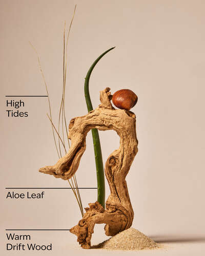 Freshwater Waves Gentle & Clean Foaming Hand Soap