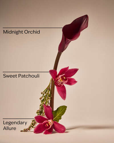 Lowkey Legend Wallflowers Fragrance Refill