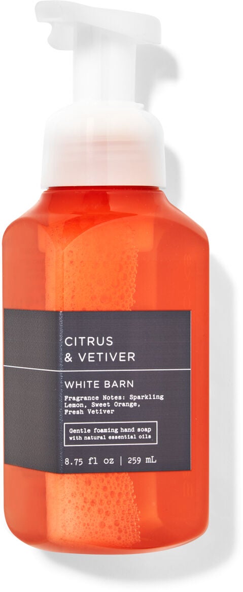 Citrus &amp; Vetiver Gentle Foaming Hand Soap