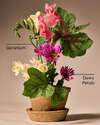 Springtime Greenhouse Gentle & Clean Foaming Hand Soap