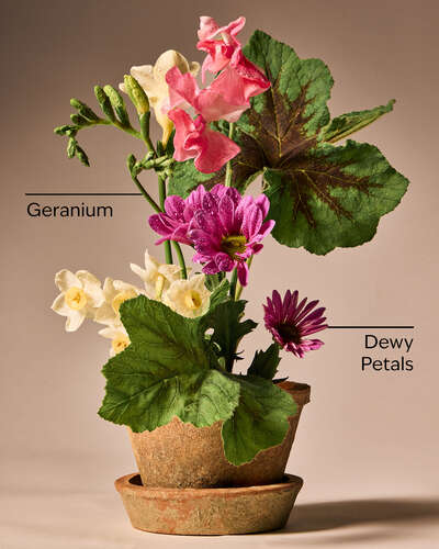 Springtime Greenhouse Gentle & Clean Foaming Hand Soap