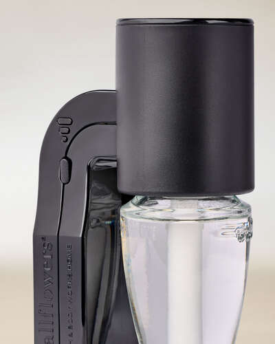 Black Scent Control&trade; Wallflowers Fragrance Plug