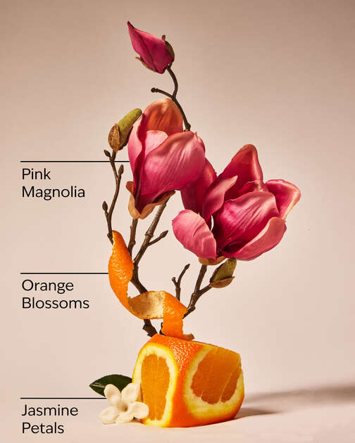 Pink Petal Confetti Wallflowers Fragrance Refill
