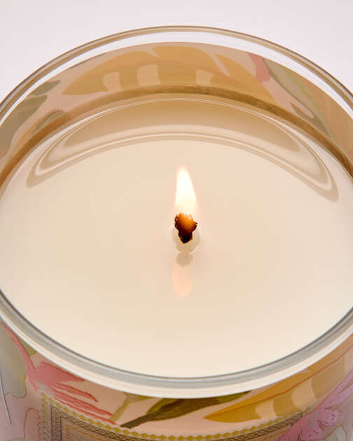 Coconut Piña Colada Single Wick Candle