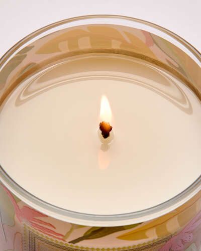 Coconut Piña Colada Single Wick Candle