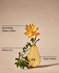 Dewy & Delicate Fine Fragrance Mist