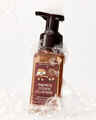 S'mores Cookie Clusters Gentle & Clean Foaming Hand Soap