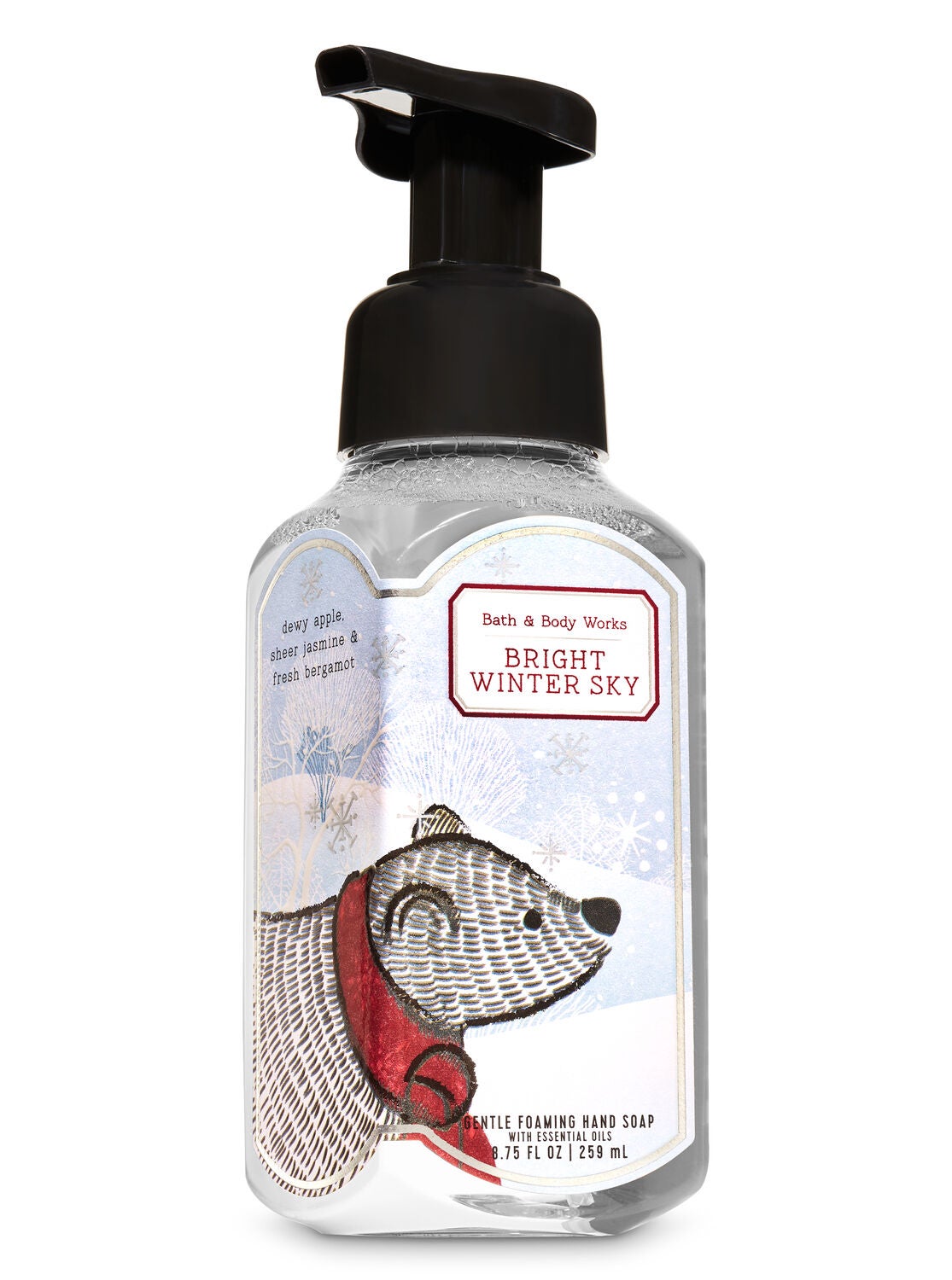 Bright Winter Sky Gentle Foaming Hand Soap - Bath And Body Works