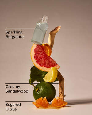 Bergamot Waters Wallflowers Refills 2-Pack
