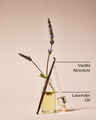 Lavender Vanilla Moisturizing Body Wash