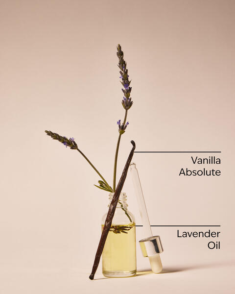 Lavender Vanilla Moisturizing Body Wash