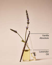 Lavender Vanilla Moisturizing Body Wash