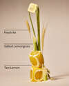 Laundry Room Lemon Concentrated Room Spray