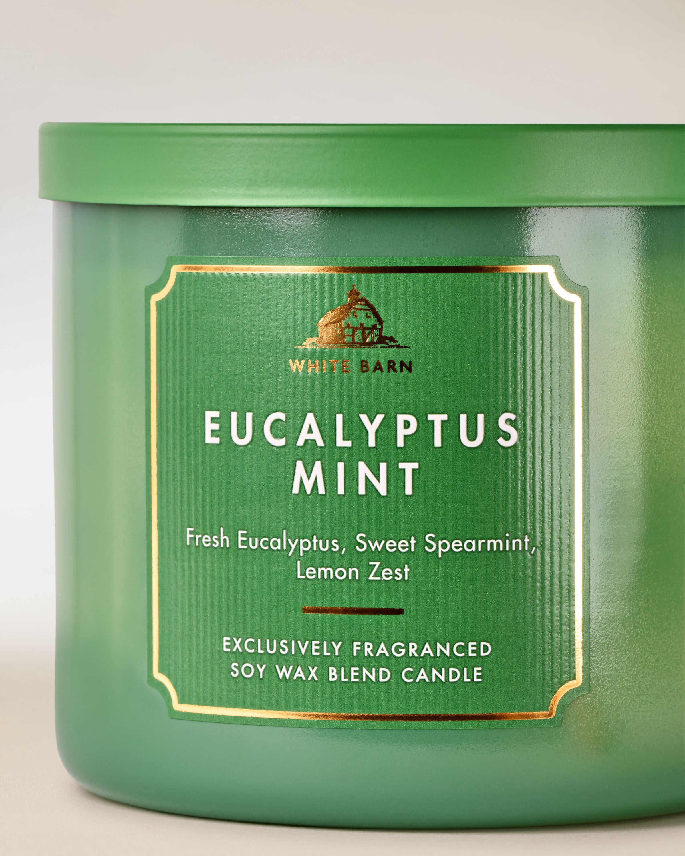 White Barn Eucalyptus Mint Candle