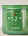 Eucalyptus Mint 3-Wick Candle
