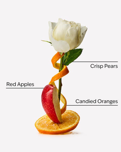 Winter Candy Apple Wallflowers Refills 2-Pack