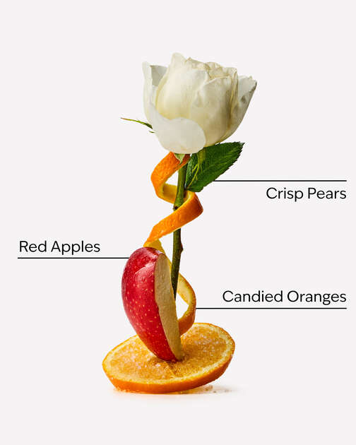 Winter Candy Apple Wallflowers Refills 2-Pack