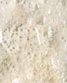Apricot Glow Revitalizing Gel Hand Soap